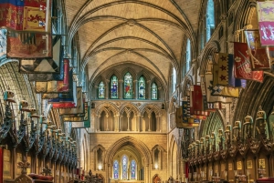 Tour a piedi di Dublino con biglietti per la Cattedrale di San Patrizio