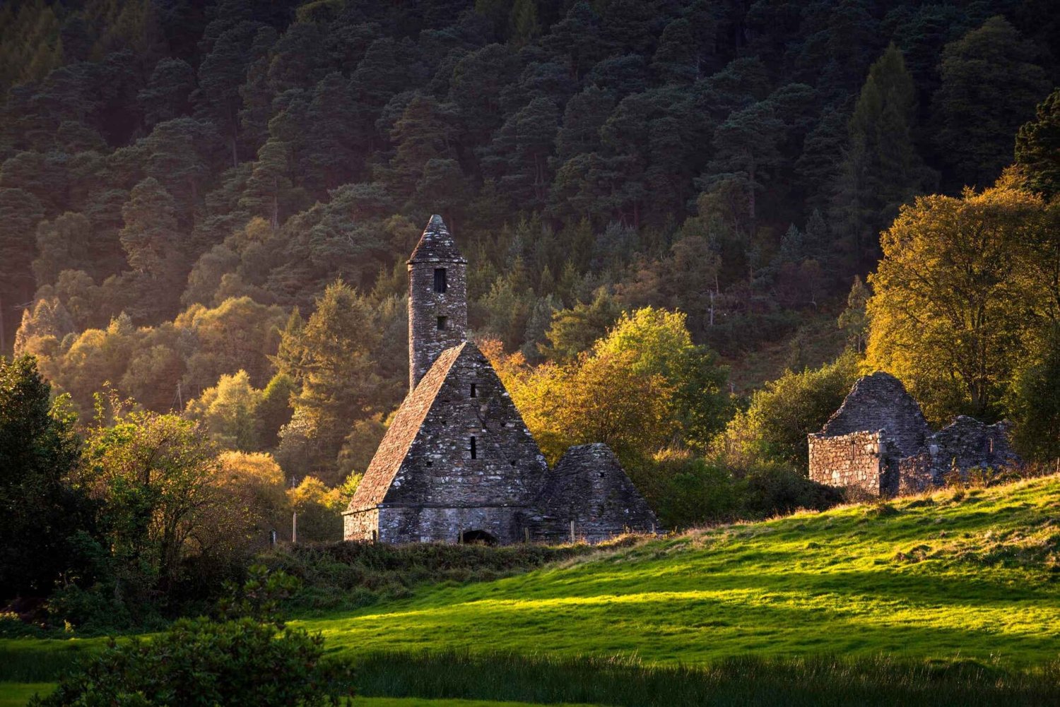 Dublin: Wicklow, Kilkenny, Glendalough og gjeterhundtur