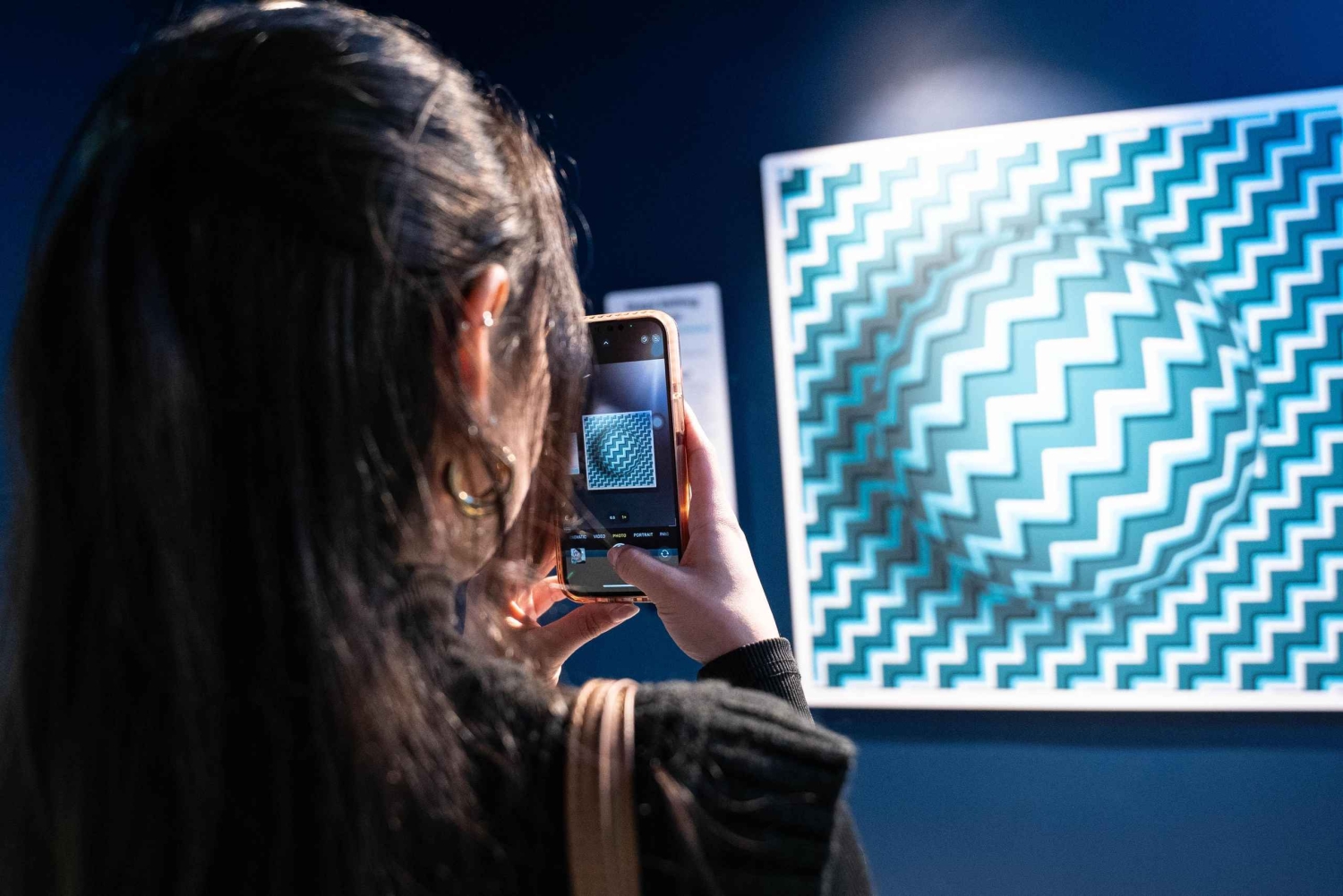 Dublin: Illusionsverden og sightseeingtur med bus