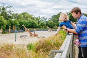 Dublin Zoo Skip-the-line-biljetter och privat transfer