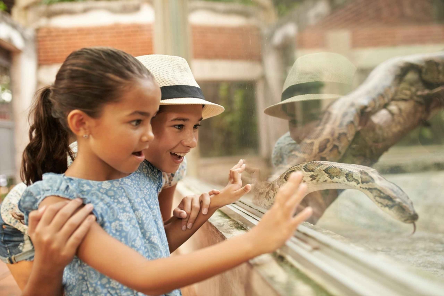 Zoo w Dublinie: Bilety wstępu bez kolejki z prywatnym transferem