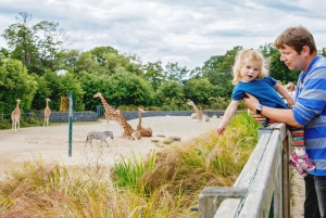 Zoo w Dublinie: Bilety wstępu bez kolejki z prywatnym transferem