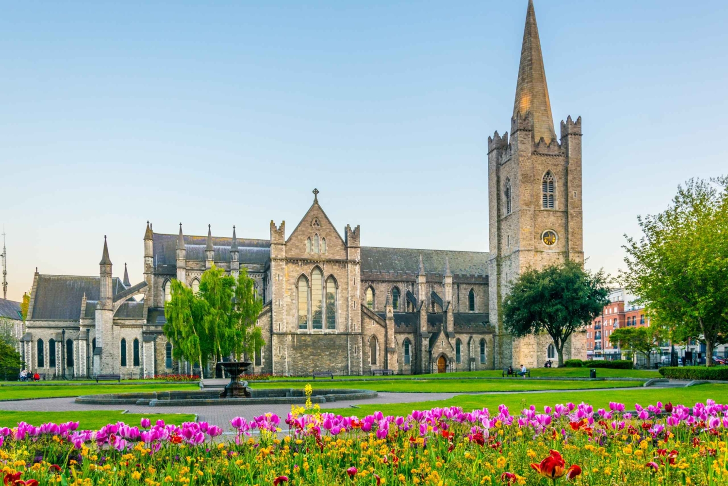 Dubline: Irske kirker og religion Privat tur til fods