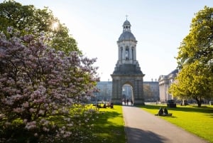 Eco Bike Tour of Dublin City Top Attractions and Nature