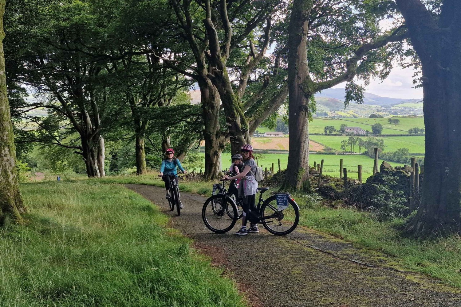 Electric Bike Experience on Slieve Gullion Mountain