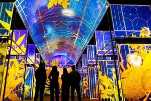 Exklusiv 5-stjärnig skräddarsydd tur till Book of Kells och Dublin Castle.