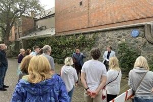 Exklusiv 5-stjärnig skräddarsydd tur till Book of Kells och Dublin Castle.