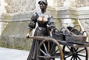 Exklusiv 5-stjärnig skräddarsydd tur till Book of Kells och Dublin Castle.