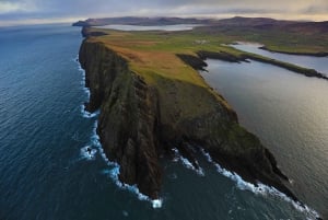 Fyra dagars rundtur på den södra och västra kusten: Irland
