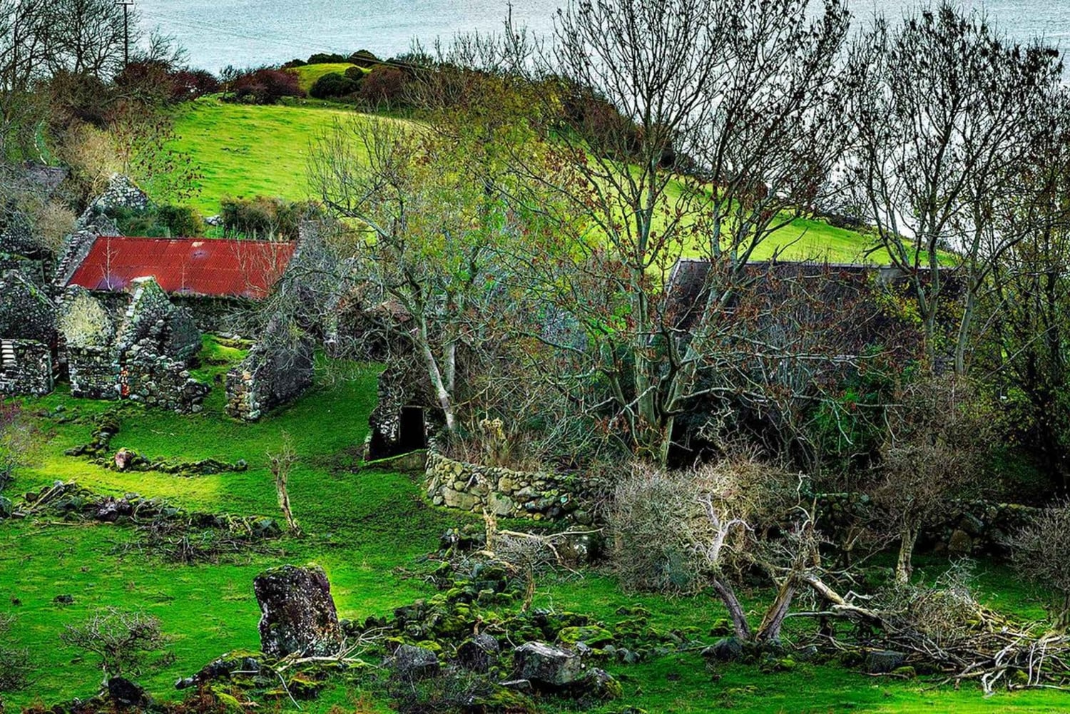 Vanuit Belfast: Causeway Coast - Privétour met verborgen pareltjes