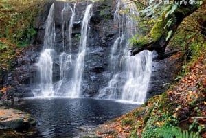 Vanuit Belfast: Causeway Coast - Privétour met verborgen pareltjes