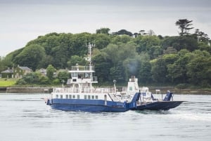 Van Belfast: Prachtige oostkust transfer naar Dublin