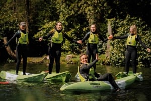 Desde Belfast: Experiencia en Kayak Sentado en la Cima