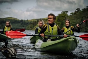 Depuis Belfast : Expérience de kayak en position assise