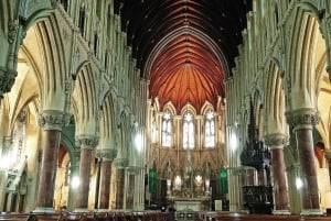 Dublinista: 2-päiväinen Corkin, Blarneyn linnan ja Ring of Kerryn kiertomatka