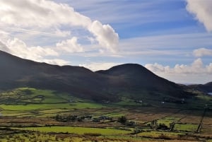 Dublinista: 2-päiväinen Corkin, Blarneyn linnan ja Ring of Kerryn kiertomatka