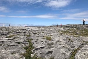 Desde Dublín: Tour de 3 días a Cork, el Anillo de Kerry y los acantilados de Moher