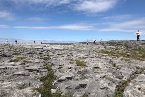 Fra Dublin: 4-dagers tur langs sør- og vestkysten
