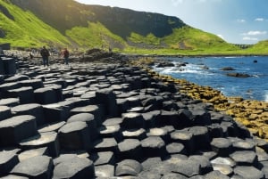 From Dublin: Belfast, Bushmills & Giant's Causeway Day Tour