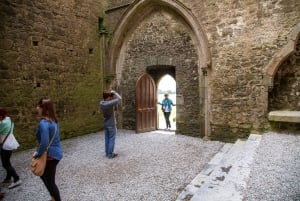 Fra Dublin: Tur til Blarney, Rock of Cashel og Cahir Castles