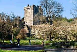 From Dublin: Blarney, Rock of Cashel and Cahir Castles Tour