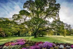 From Dublin: Blarney, Rock of Cashel and Cahir Castles Tour
