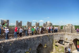 From Dublin: Blarney, Rock of Cashel and Cahir Castles Tour