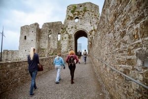 De Excursão celta ao Vale do Boyne e aos locais antigos