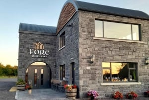 Från Dublin: Keltisk Boyne Valley och forntida platser Tour