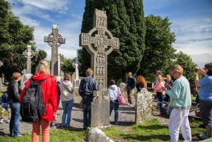 Z Dublina: Celtycka Dolina Boyne i wycieczka do starożytnych miejsc
