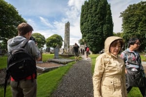 Au départ de Dublin : Visite de la vallée celtique de Boyne et des sites antiques