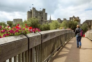 From Dublin: Celtic Boyne Valley and Ancient Sites Tour
