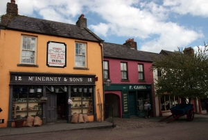 From Dublin: Cliffs of Moher, Galway and Ennis in Spanish