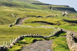 Viagem de 1 dia para Cliffs of Moher, Doolin, Burren e Galway