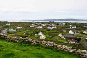 Dublín: Excursión de un día a los Acantilados de Moher, Doolin, Burren y Galway