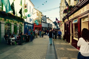 Vanuit Dublin:Semi privérondleiding langs de Cliffs of Moher, Galway