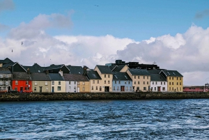 Vanuit Dublin:Semi privérondleiding langs de Cliffs of Moher, Galway