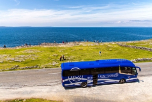 From Dublin: Cliffs of Moher, Boat Tour & Ailwee Caves
