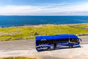 From Dublin: Cliffs of Moher, Boat Tour & Ailwee Caves