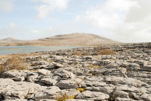 Dublin: Cliffs of Moher, Kilmacduagh Abbey & Galway Day Tour