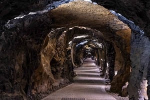 Fra Dublin: Cliffs of Moher, båtcruise og Aillwee-grotte