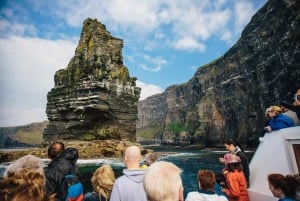 Desde Dublín: tour en grupo pequeño por los acantilados de Moher
