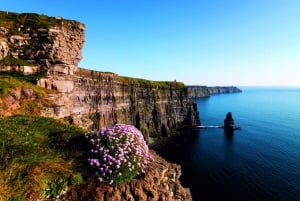 Fra Dublin: Cliffs of Moher Small Group Tour