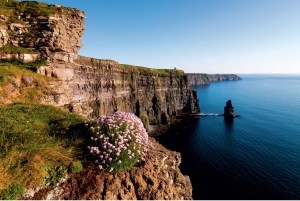 De Dublin: Tour em pequenos grupos pelas Falésias de Moher
