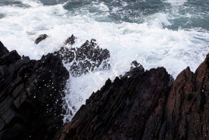 De Dublin: Tour em pequenos grupos pelas Falésias de Moher
