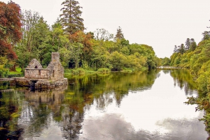 From Dublin: Connemara and Galway Full-Day Tour
