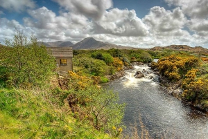 From Dublin: Connemara and Galway Full-Day Tour
