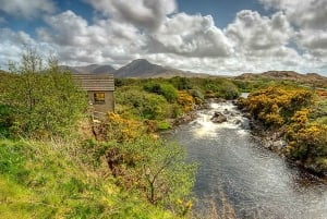 Connemara and Galway Full-Day Tour