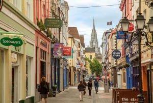 From Dublin: Cork and Blarney Castle Full-Day Tour