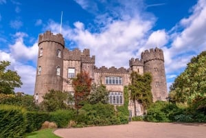 From Dublin: Famous Irish Castles and Monastery Private Tour